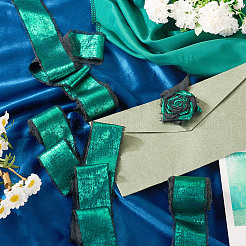 Polyester Frayed Ribbon&nbsp;DIY-TAC0023-39A