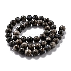 Natural Glaucophane Beads Strands&nbsp;G-O199-01C