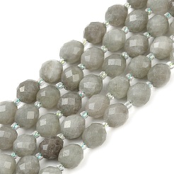 Natural Malaysia Jade Beads Strands&nbsp;G-D305-A01-01D