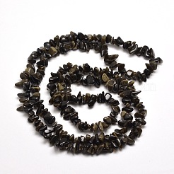 Natural Golden Sheen Obsidian Chip Bead Strands&nbsp;X-G-M205-07