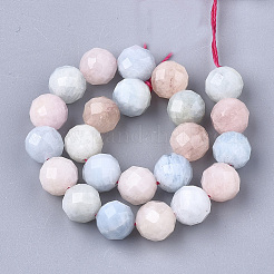 Natural Morganite Beads Strands&nbsp;X-G-S345-6mm-012
