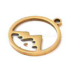 201 Stainless Steel Pendants&nbsp;LS-STAS-D041-17G