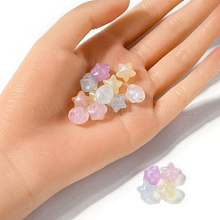レインボー虹色メッキアクリルビーズ  キラキラビーズ  スター  ミックスカラー  11x11.5x9.5mm  穴：2mm&nbsp;CACR-YW0001-07