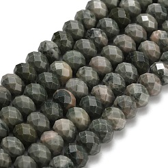 Natural Green Wood Lace Stone Wooden Jasper Beads Strands&nbsp;G-Z111-A15-02