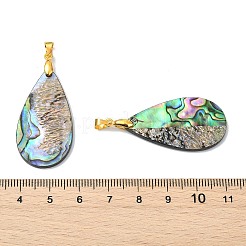 Natural Paua Shell/Abalone Shell Pendants&nbsp;PALLOY-JF05570