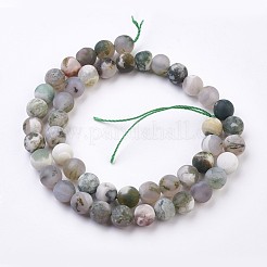 Natural Tree Agate Bead Strands&nbsp;X-G-J376-11F-8mm