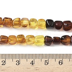 Natural Amber Beads Strands&nbsp;G-L095-E01-02