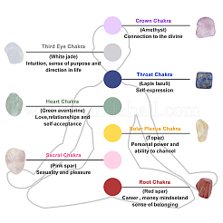 Chakra Beginners Kit&nbsp;DIY-WH0188-08B