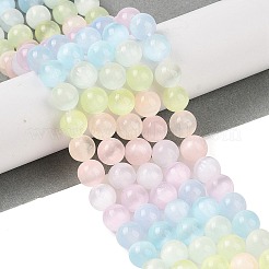 Macaron Color Natural Selenite Beads Strands&nbsp;G-C142-01B-10