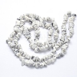 Natural Howlite Beads Strands&nbsp;X-G-O049-B-40