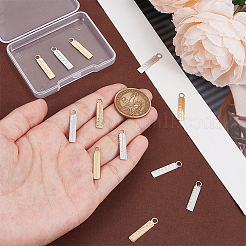 12Pcs 2 Colors 304 Stainless Steel Pendants&nbsp;FIND-UN0003-79