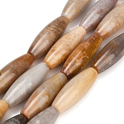 天然化石サンゴのビーズ連売り  バレルビーズ  29~30x10mm  穴：1.4mm  約13個/連  15.35''（39センチメートル）&nbsp;GG-CBA362F-03