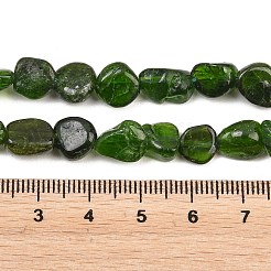 天然グリーンディオプサイドビーズ連売り  ナゲット  タンブルストーン  8~11x7~10x4~6mm  穴：0.8mm  約45~46個/連  14.96~15.51''（38~39.4センチメートル）&nbsp;G-G464-A01-02