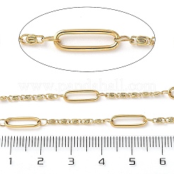 304 Stainless Steel Rectangle with Lumachina Chains&nbsp;CHS-C015-02B-G