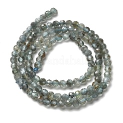 天然石アパタイトビーズ連売り  多面カットラウンド  3mm  穴：0.7mm  約123~132個/連  14.57''~14.96''（37~38センチメートル）&nbsp;G-RM2025-A23-3mm