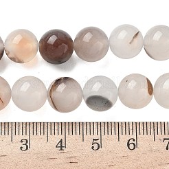 Natural Dendritic Agate Beads Strands&nbsp;G-C011-10mm-01