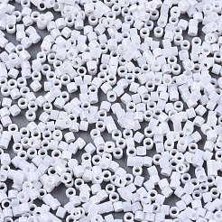 FGB 11/0 Grade A Glass Seed Beads&nbsp;SEED-S030-0401F