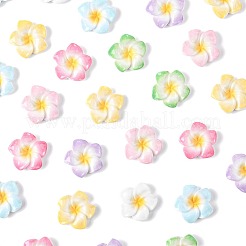 70色のプルメリアの花の不透明樹脂カボション7個  ミックスカラー  20~21x20~21x4.5~5mm  10個/カラー&nbsp;CRES-FS0001-32