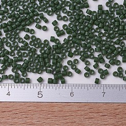 MIYUKI Delica Beads&nbsp;X-SEED-J020-DB0797