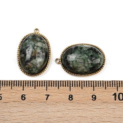 Natural African Turquoise(Jasper) Pendants&nbsp;X-STAS-F322-15G-04