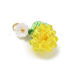 Transparent Glass Pendants&nbsp;PALLOY-MZ00905-01