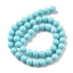 Synthetic Turquoise Beads Strands&nbsp;G-A255-A04-01B