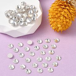 Preciosa&reg MAXIMA Crystal No Hotfix Flatback Stones&nbsp;Y-PRC-NSS8-00030-242