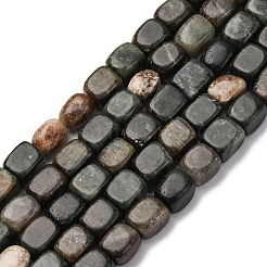 Natural Biotite Beads Strands&nbsp;G-B155-D05