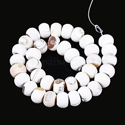 Dyed Natural Agate Beads Strands&nbsp;G-T144-26A