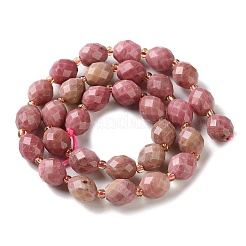Natural Rhodonite Beads Strands&nbsp;G-N342-149I-27
