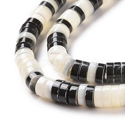 Natural Trochid Shell Beads Strands&nbsp;SSHEL-G023-02B-04