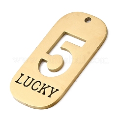 304 Stainless Steel Pendants&nbsp;STAS-D200-02F-G