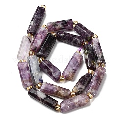 Natural Lepidolite/Purple Mica Stone Beads Strands&nbsp;G-D353-A17