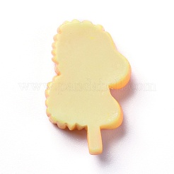 Resin Cabochons&nbsp;RESI-Z002-04