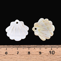 天然貝の彫刻ペンダント  貝殻の形のチャーム  貝殻色  19~20x20.5~21x1~1.5mm  穴：1.8mm&nbsp;BSHE-T014-10