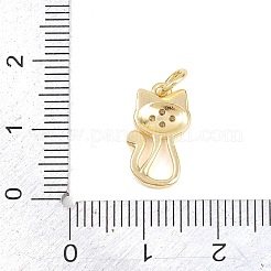 Brass Micro Pave Clear Cubic Zirconia Pendants&nbsp;KK-H273-48G-01