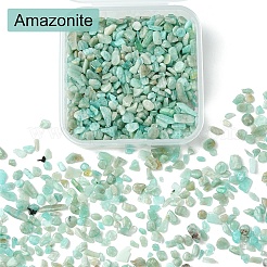 天然アマゾナイトチップビーズ 50g  穴なし/ドリルなし  2~12x2~10x1~3mm&nbsp;G-YW0001-75
