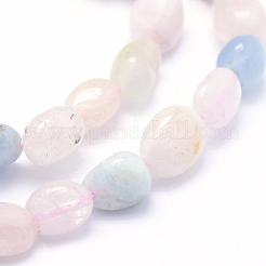 Natural Morganite Beads Strands&nbsp;G-K230-16