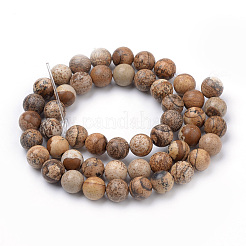 Natural Picture Jasper Beads Strands&nbsp;G-S259-27-6mm