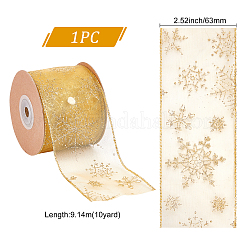 Transparent Single Face Chiffon Ribbon for Christmas&nbsp;OCOR-WH0071-008B