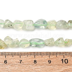 天然石プレナイトビーズ連売り  タンブルストーン  ナゲット  6~8x4~6mm  穴：1mm  15.3インチ（39cm）&nbsp;G-F521-29