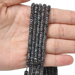Natural Larvikite Heishi Beads Strands&nbsp;G-A299-A04-01