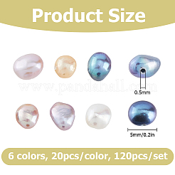 120Pcs 6 Colors Natural Cultured Freshwater Pearl Beads&nbsp;PEAR-HS0001-33