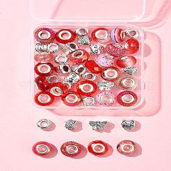 DIY Tibetan Style Alloy & Resin European Beads Making Finding Kits&nbsp;DIY-FS0006-78E