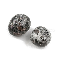 Natural Syenite Beads&nbsp;G-G348-01B-46
