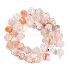 Natural Cherry Blossom Agate Beads Strands&nbsp;G-G182-B41-03