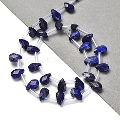 Natural Lapis Lazuli Beads Strands&nbsp;G-Q167-A25-02