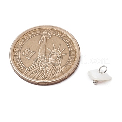 天然のトロカス貝のナゲットチャーム  真鍮のループを有します  ホワイト  プラチナ  7~8x9~11x6.5~7.5mm  穴：1.6mm&nbsp;PALLOY-JF03439-02