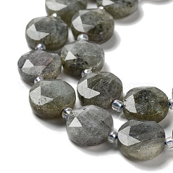 Natural Labradorite Beads Strands&nbsp;G-NH0004-001