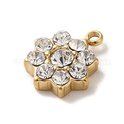 304 Stainless Steel with Crystal Glass Rhinestone Charms&nbsp;STAS-L022-264G-01
